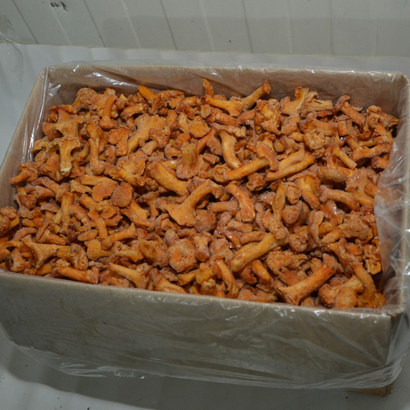 Лисички заморожені "Дари Гуцульщини"