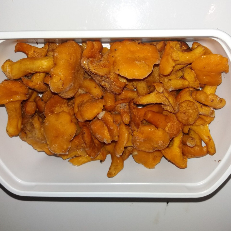 Лисички заморожені "Дари Гуцульщини"