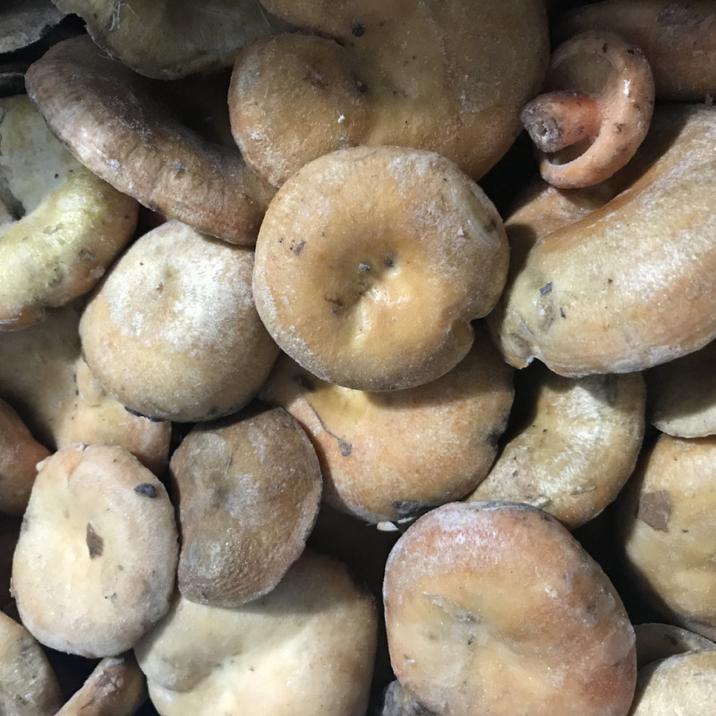 Мікс грибів заморожених "Дари Гуцульщини"