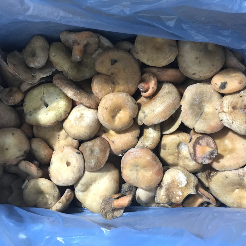 Мікс грибів заморожених "Дари Гуцульщини"