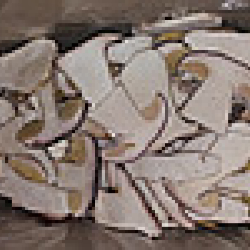 Мікс грибів заморожених "Дари Гуцульщини"