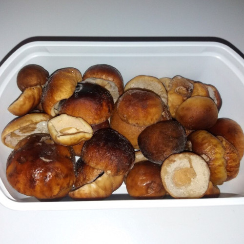 Білі гриби (шапка) заморожені "Дари Гуцульщини"