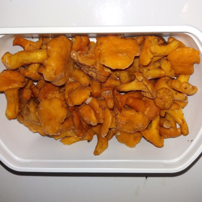 Лисички заморожені "Дари Гуцульщини"