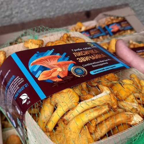 Чорниця заморожена "Дари Гуцульщини"