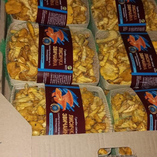 Чорниця заморожена "Дари Гуцульщини"