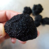 Гриб трюфель їстівний чорний (Tuber aestivum)