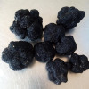 Гриб трюфель їстівний чорний (Tuber aestivum)