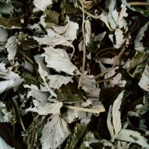 Фіто-чай з міксу Карпатських трав Дари Гуцульщини  листя та цвіт малини, ожини, чорниці