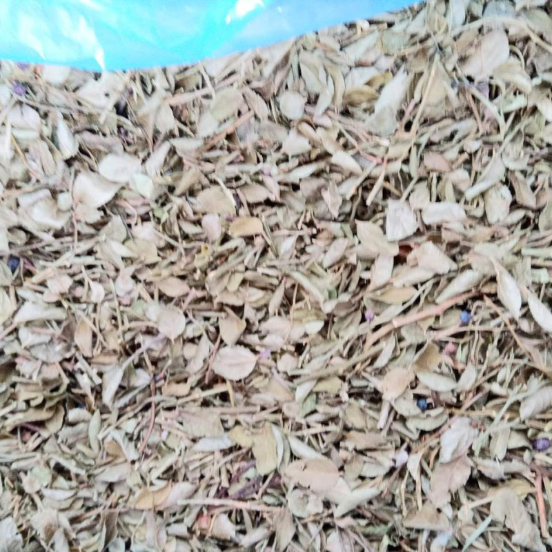 Фіто-чай з міксу Карпатських трав Дари Гуцульщини  листя та цвіт малини, ожини, чорниці