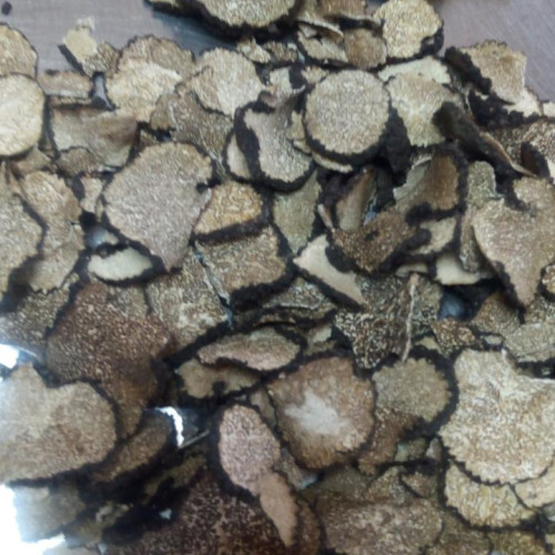 Гриб трюфель сушений слайси Дари Гуцульщини