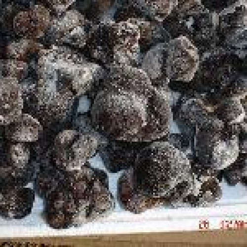 Гриб трюфель їстівний чорний заморожений (Tuber aestivum)